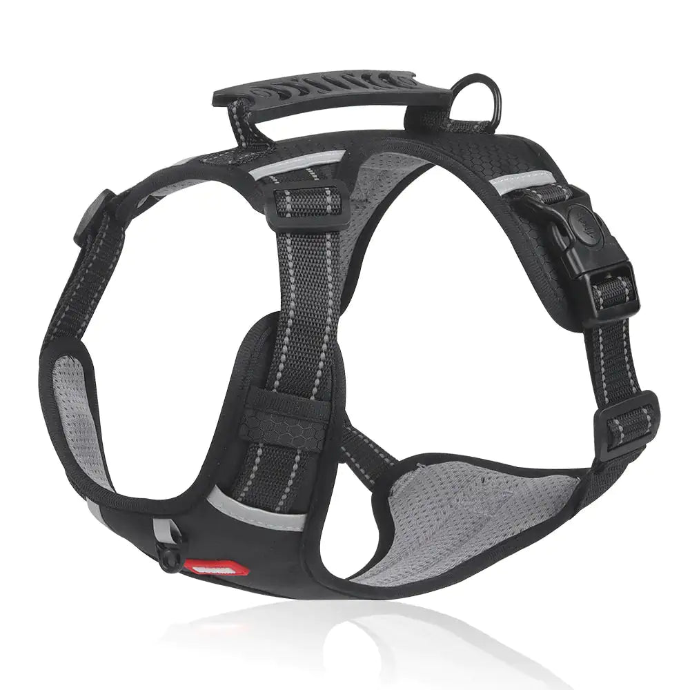 ReflectRide No-Pull Pet Harness