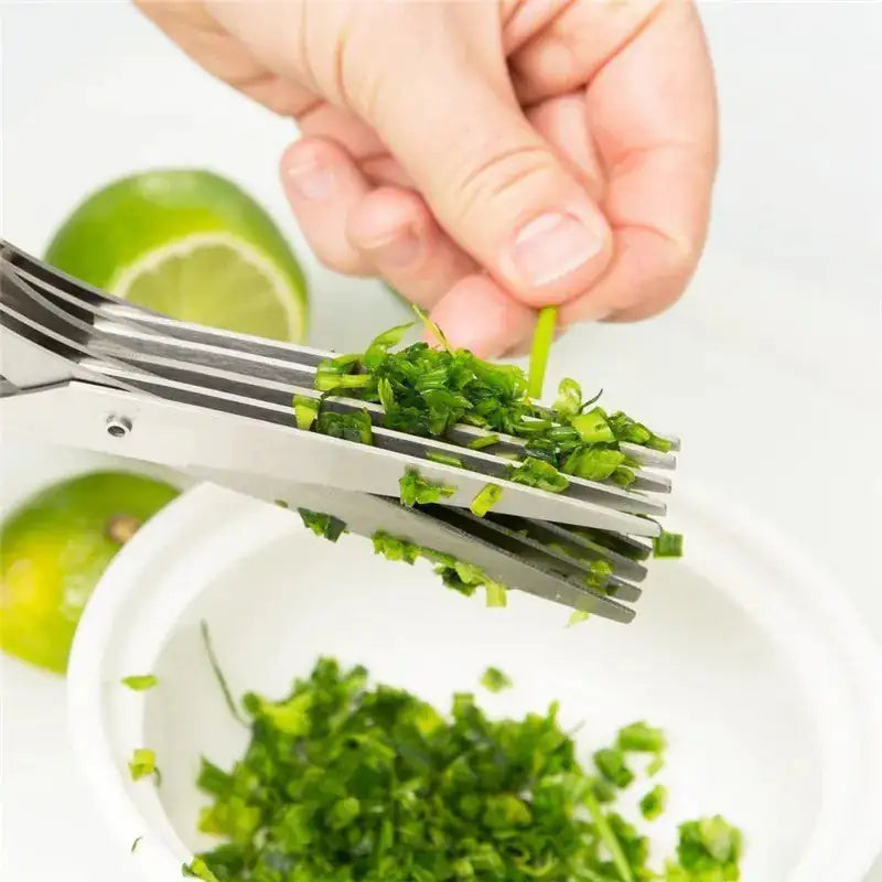 Multifunctional Multi-layer Green Onion Scissors Stainless Steel Onion Cutting Knife