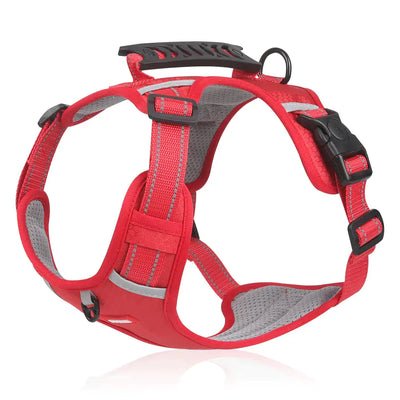 ReflectRide No-Pull Pet Harness