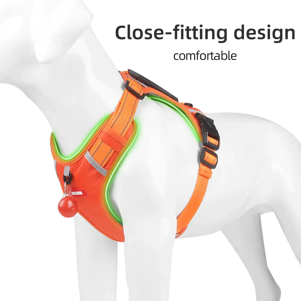 ReflectRide No-Pull Pet Harness