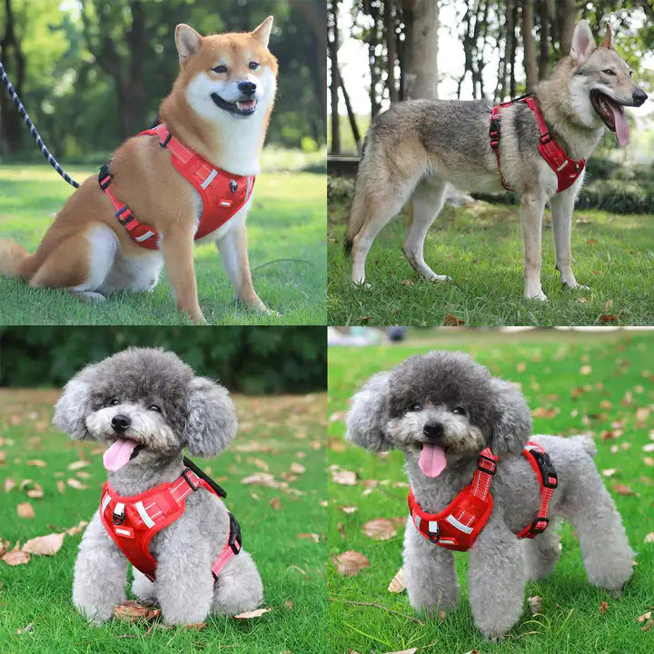 ReflectRide No-Pull Pet Harness